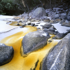 Little Waterloo Bay creek