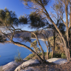 Little Waterloo Bay morning