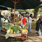 Koonwarra Farmer's Market