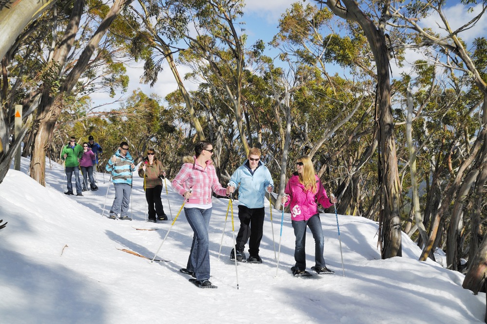 Mt Baw Baw
