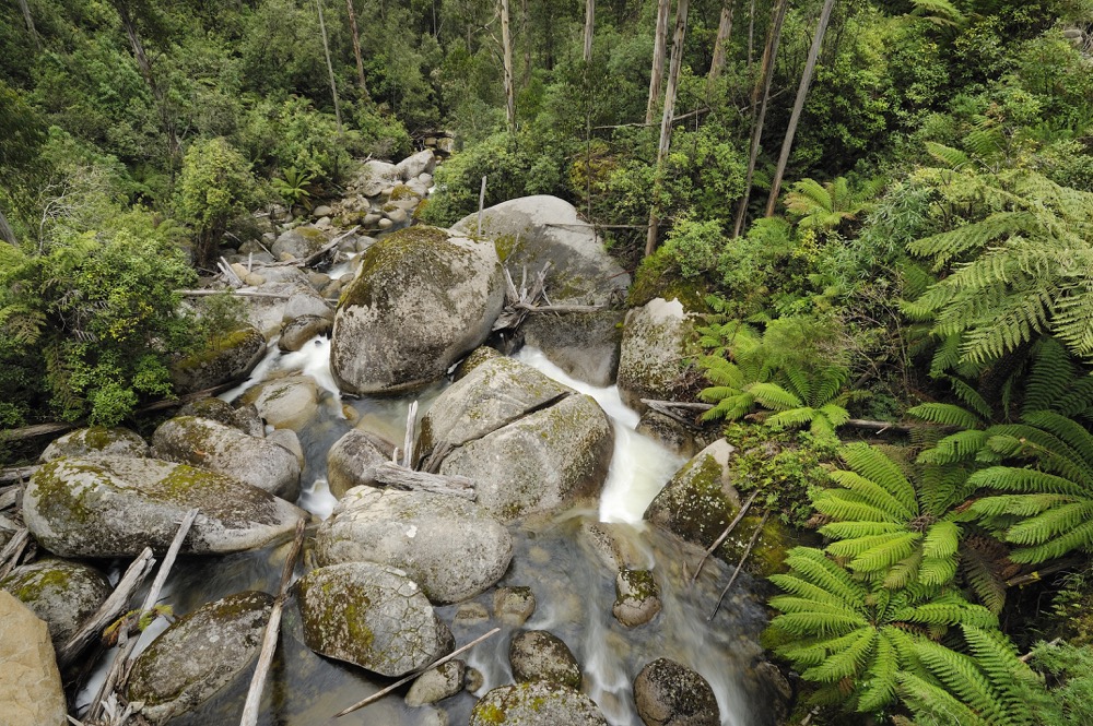 West Tyers River, South Face Road